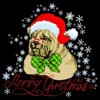 Merry Christmas Santa Pug T-Shirt