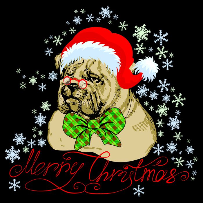 Merry Christmas Santa Pug T-Shirt