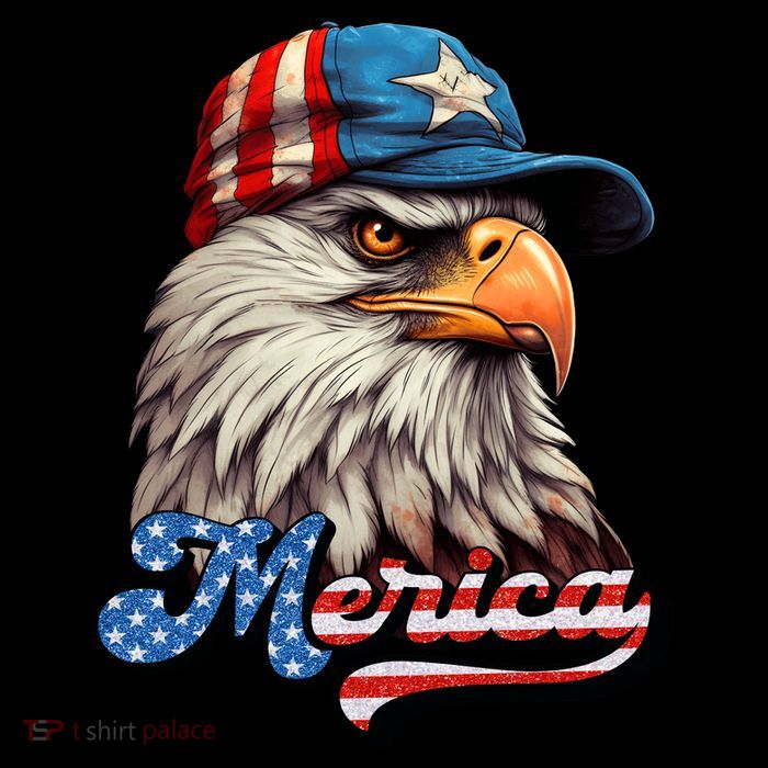 Merica Eagle USA Eagle 4th Of July Patriotic Funny Bald Eagle 16 in Basic Backpack