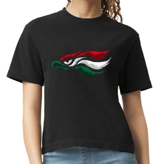 Mexican Eagle With Mexico Flag Hecho En Mexico Comfort Colors Boxy T-Shirt