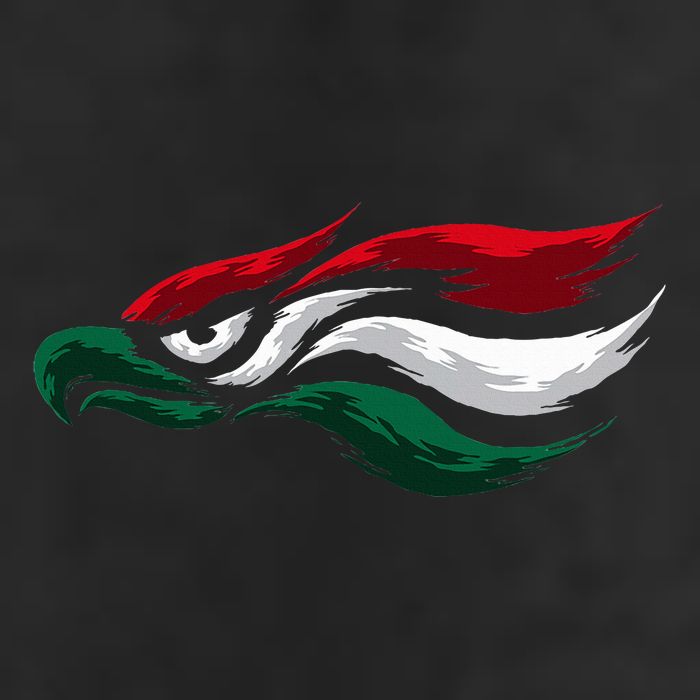 Mexican Eagle With Mexico Flag Hecho En Mexico Hat