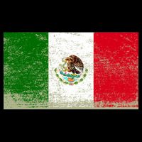 Mexico Flag Grunge Flatbill Hat