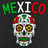Mexico Skull Adult Drive Performance Visor