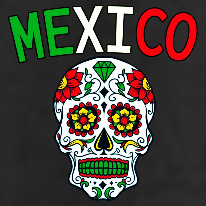 Mexico Skull Adult Drive Performance Visor