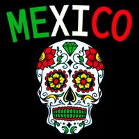 Mexico Skull 16 in Basic Backpack