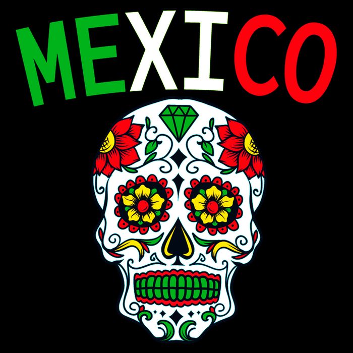 Mexico Skull 16 in Basic Backpack