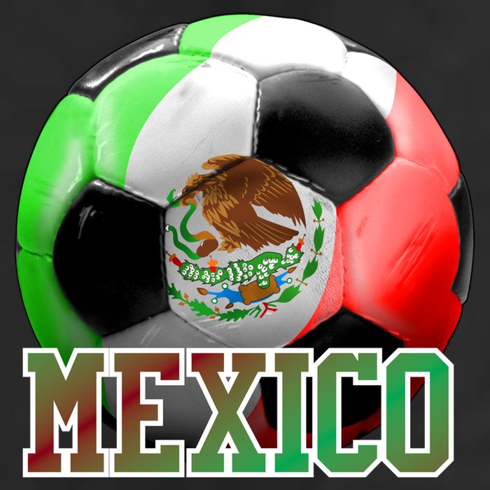 Mexico Soccer Logo 11oz C Handle Ceramic Mug