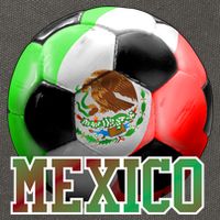 Mexico Soccer Logo Cotton Canvas Backpack
