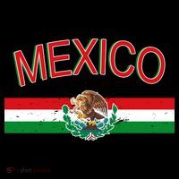 Mexican Flag And Coat Of Arms Mexico T-Shirt