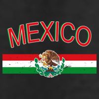 Mexican Flag And Coat Of Arms Mexico Adult Drive Performance Visor