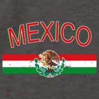 Mexican Flag And Coat Of Arms Mexico Vector Backpack