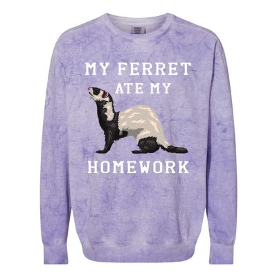 My Ferret Ate My Homework Rodent Animal European Polecat Gift Colorblast Crewneck Sweatshirt