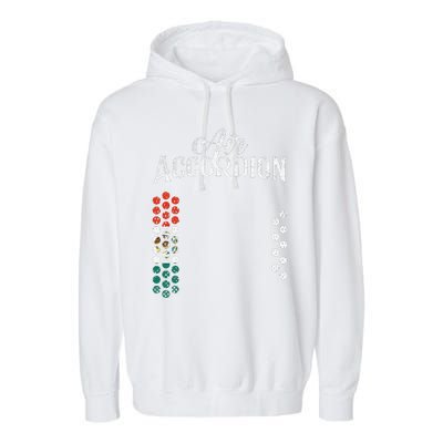 Mexican Flag Air Accordion Flag Of Mexico Fiesta Garment-Dyed Fleece Hoodie