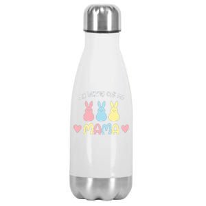 My Favorite Bunnies Call Me Mama Easter Mother's Day Easter Day Stainless Steel Insulated Water Bottle