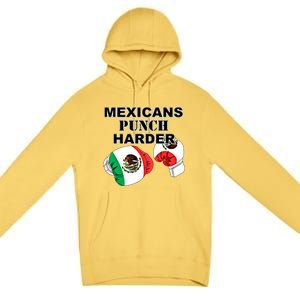 Mexican Flag Boxing Gloves Gift Premium Pullover Hoodie