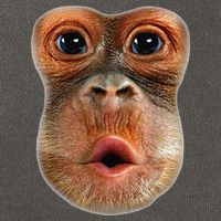 Monkey Face Breath Funny Cotton Canvas Backpack