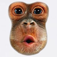 Monkey Face Breath Funny Garment-Dyed Sweatshirt