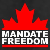 Mandate Freedom Candian Adult Drive Performance Visor