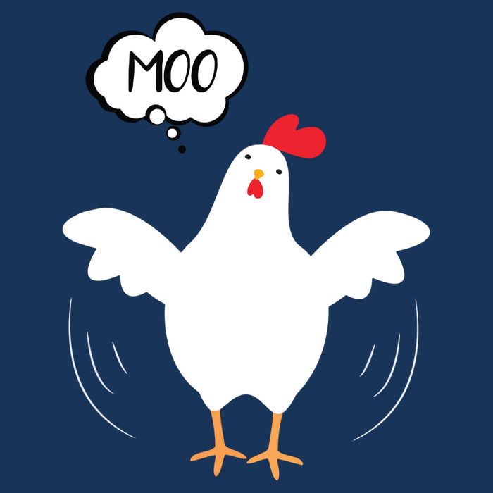 MOO Funny Cow Chicken Funny T-Shirt