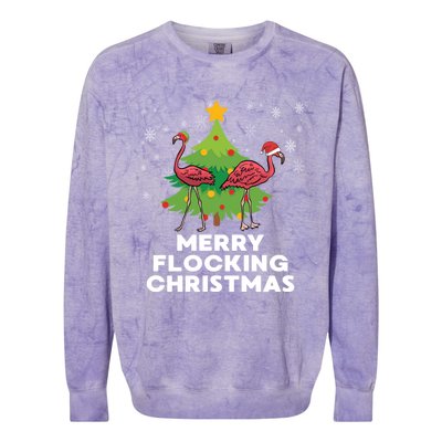 Merry Flocking Christmas Funny Xmas Flamingo Wading Bird Gift Colorblast Crewneck Sweatshirt