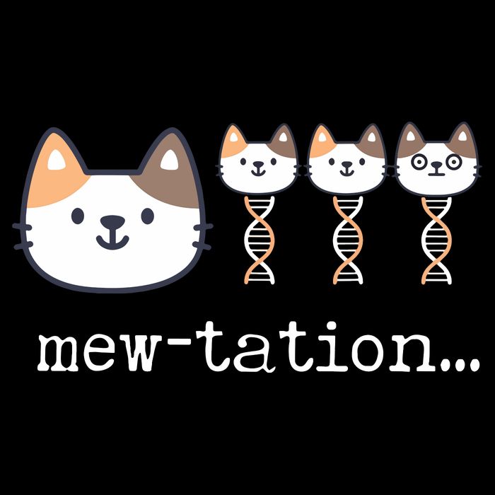 Mewtation Funny Cat Science Dna Cells Biology Teacher Wool Snapback Cap