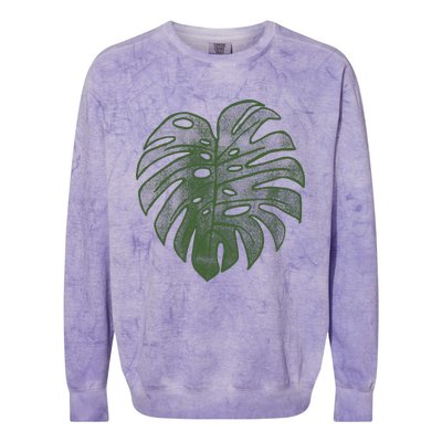 Monstera Funny Crazy Plant Lady Monstera Deliciosa Colorblast Crewneck Sweatshirt