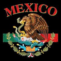 Mexico Flag Eagle Mexican Independence Day City Backpack