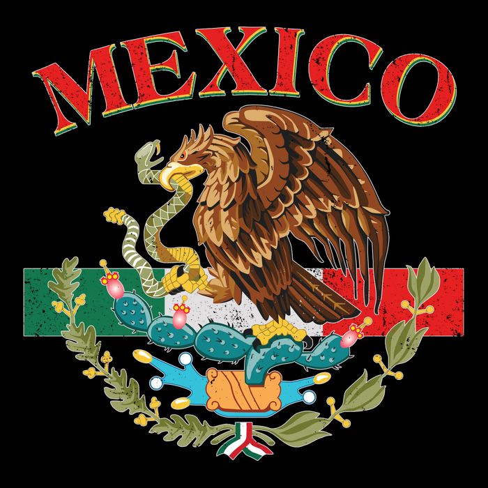 Mexico Flag Eagle Mexican Independence Day City Backpack