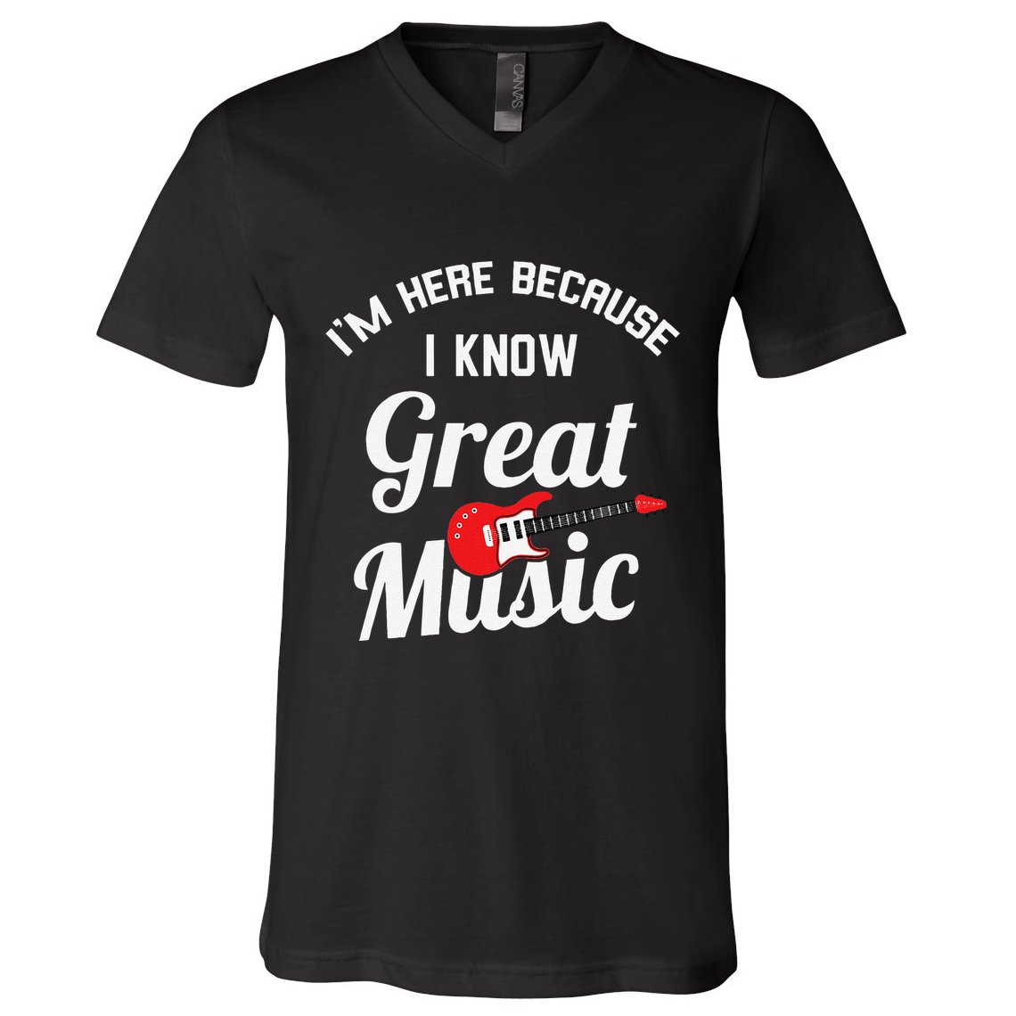 Music Festival Funny Concert Goer Expert V-Neck T-Shirt