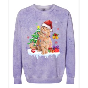 Meowy Feline Festivities Merry Catmas Christmas Cat Cute Gift Colorblast Crewneck Sweatshirt