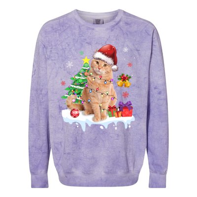 Meowy Feline Festivities Merry Catmas Christmas Cat Cute Gift Colorblast Crewneck Sweatshirt