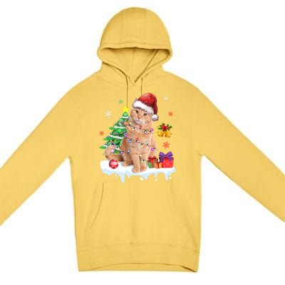 Meowy Feline Festivities Merry Catmas Christmas Cat Cute Gift Premium Pullover Hoodie