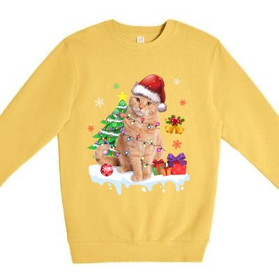 Meowy Feline Festivities Merry Catmas Christmas Cat Cute Gift Premium Crewneck Sweatshirt