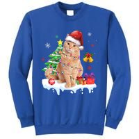 Meowy Feline Festivities Merry Catmas Christmas Cat Cute Gift Sweatshirt