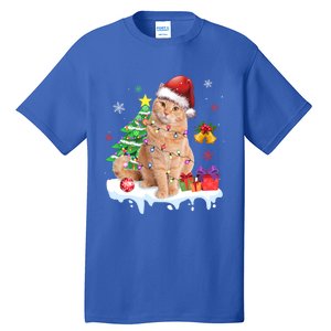 Meowy Feline Festivities Merry Catmas Christmas Cat Cute Gift Tall T-Shirt