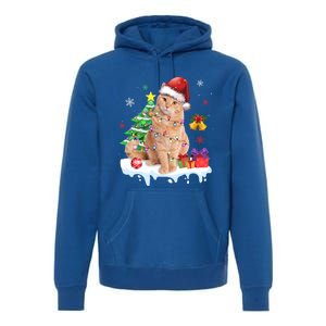 Meowy Feline Festivities Merry Catmas Christmas Cat Cute Gift Premium Hoodie