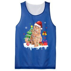 Meowy Feline Festivities Merry Catmas Christmas Cat Cute Gift Mesh Reversible Basketball Jersey Tank