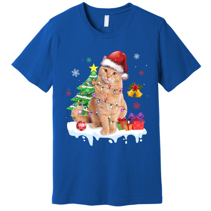 Meowy Feline Festivities Merry Catmas Christmas Cat Cute Gift Premium T-Shirt