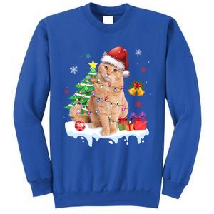 Meowy Feline Festivities Merry Catmas Christmas Cat Cute Gift Tall Sweatshirt