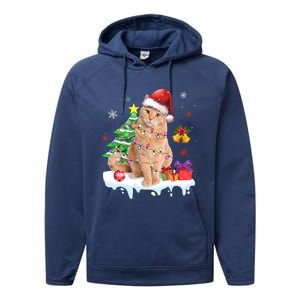 Meowy Feline Festivities Merry Catmas Christmas Cat Cute Gift Performance Fleece Hoodie