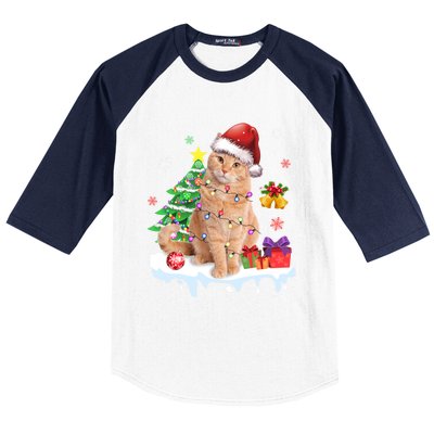 Meowy Feline Festivities Merry Catmas Christmas Cat Cute Gift Baseball Sleeve Shirt