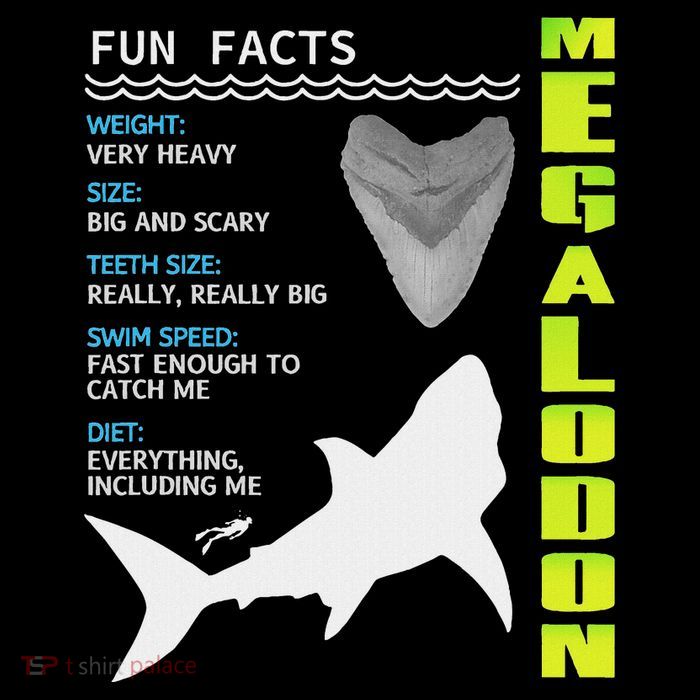 Megalodon Fun Facts 7-Panel Snapback Hat