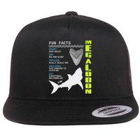Megalodon Fun Facts Flat Bill Trucker Hat