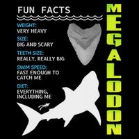 Megalodon Fun Facts Flat Bill Trucker Hat