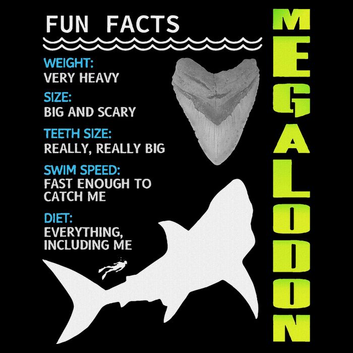Megalodon Fun Facts Flat Bill Trucker Hat