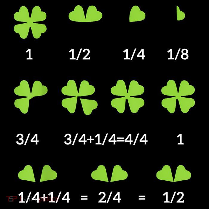 Math Fraction Four Leaf Clover Teacher St Patricks Day T-Shirt