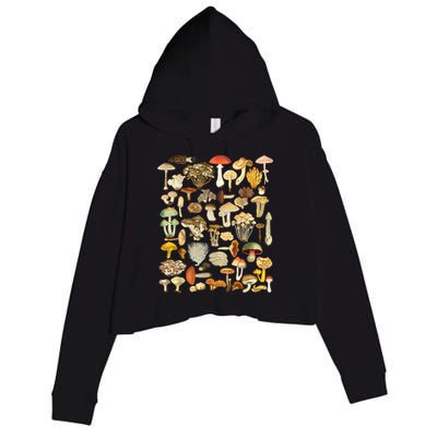 Mycology Fungi Foraging Mushroom Crop Fleece Hoodie