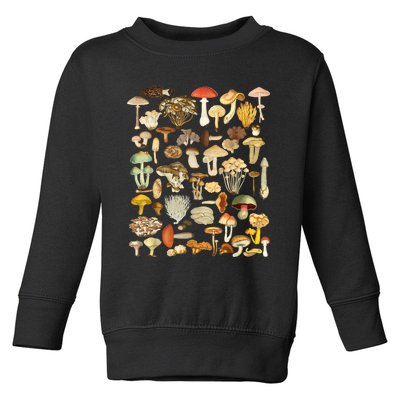 Mycology Fungi Foraging Mushroom Toddler Sweatshirt