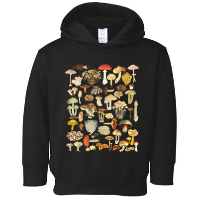 Mycology Fungi Foraging Mushroom Toddler Hoodie