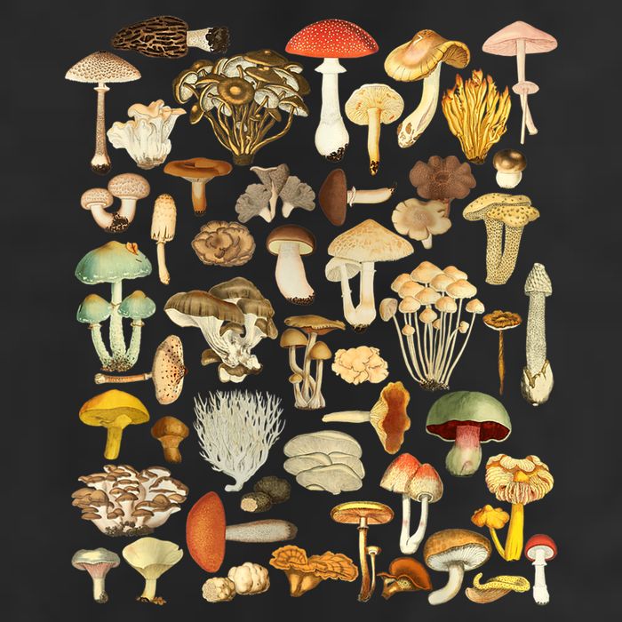 Mycology Fungi Foraging Mushroom Golf Towel
